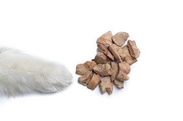 Cute Siberian Husky Dog paw with dog treat