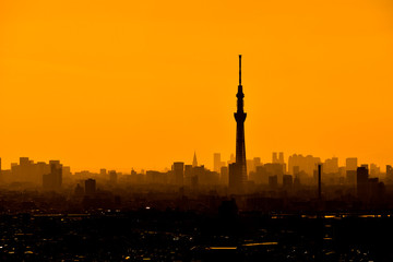 夕日に映える東京スカイツリーと東京の高層ビルのシルエット