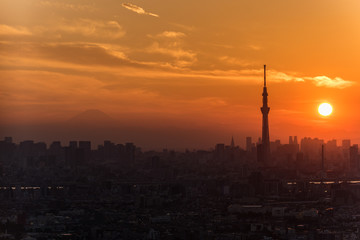 Naklejka premium 夕日に映える東京スカイツリーと東京の高層ビルのシルエット