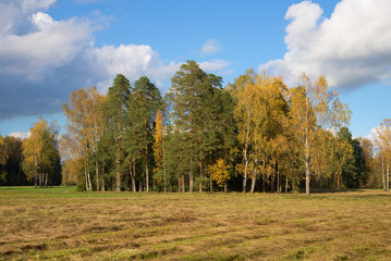 Autumn landscape with the slanted field. Russia