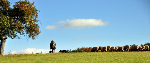 Schäfer mit seiner Herde in herbstlicher Landschaft
