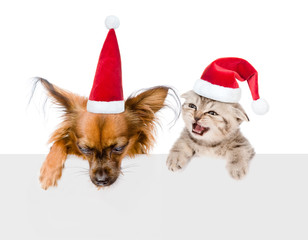 Puppy and kitten with red christmas hats peeking from behind empty board. isolated on white