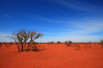 Burnt desert in Australia