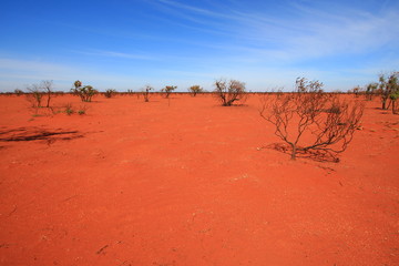 Burnt desert in Australia