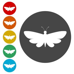 Set of butterflies silhouette icon 