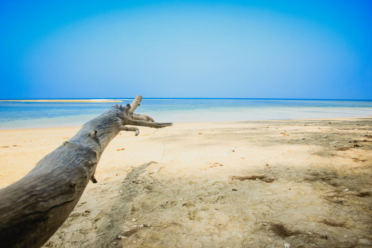 The tree point staigt out to the sea at Phuket 