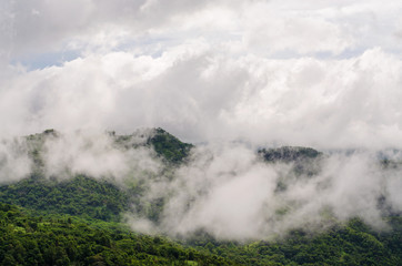 Fototapeta na wymiar Fog on the Mountain
