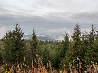 Blick bei Nebel Auersberg im Erzgebirge