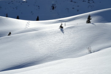 Skispur im Schnee