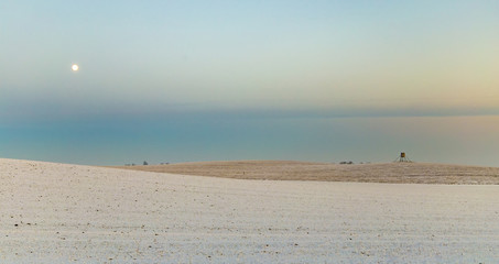 winter landscape with tree alley  in sunset