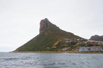 Fototapeta na wymiar Hout Bay, Table Mountain National Park, South Africa