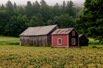 Obraz premium Shacks and Barn