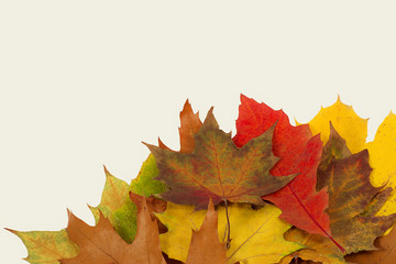 Background of autumn leaves