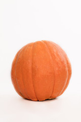 orange pumpkin 