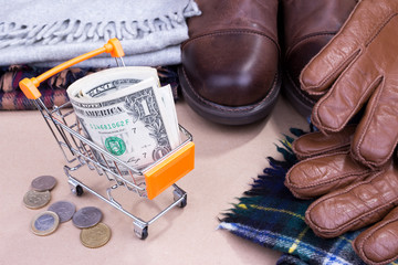 Fototapeta na wymiar shopping cart,money and winter clothes