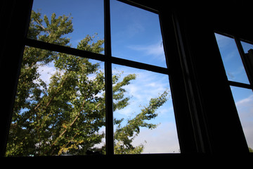 View from the window after the rain / 雨上がりの窓から