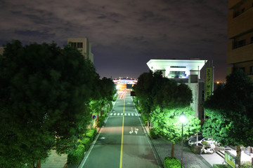 Road at night / 夜の道