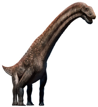 Titanosaurus