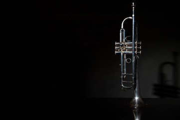 trumpet, wind instrument / lonely musical instrument which is a trumpet on a black background
 - obrazy, fototapety, plakaty