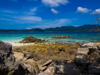 Scenic landscape wild nature tropical island