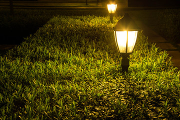 Yellow light in the park at night