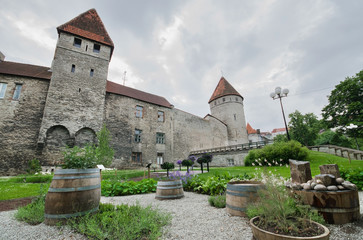 Fototapeta na wymiar Scenic view of the ancient Walls of the medieval city of Tallinn
