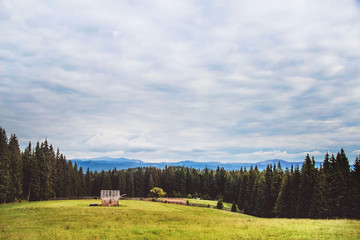 rural landscape in the Carpathian mountains