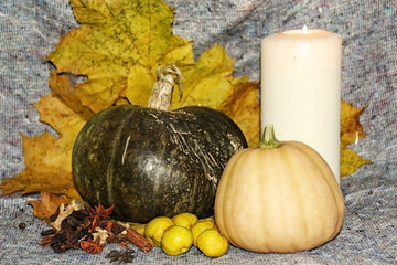 Harvested pumpkins with fall leaves