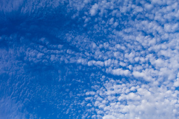 Fototapeta na wymiar Colourful bright sky blue background with puffy clouds