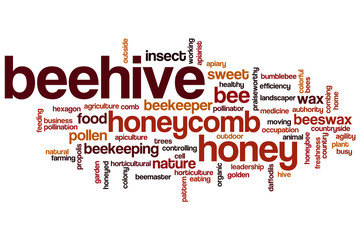 Beehive word cloud