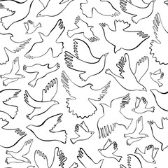 Seamless pattern with black lineal birds on white background. Vector hand drawn birds.