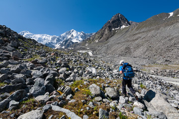 Fototapeta premium Hiker in highlands of Altai mountains, Russia