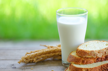 Bread cut pieces  with milk glass on wooden table,green blurred