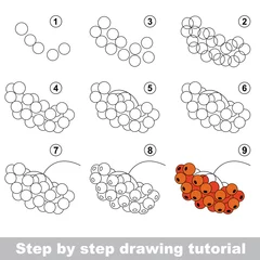 Fotobehang Drawing tutorial. Red rowan. © mikhaylova_anna