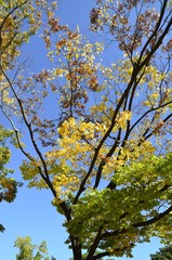 Obraz premium 자연 환경