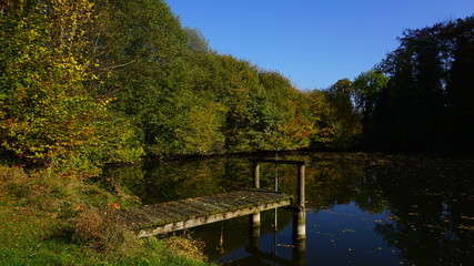 Fototapeta premium Balgenweiher, Muolen, Thurgau, Schweiz
