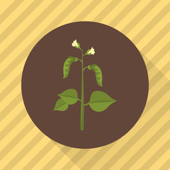 Peas agriculture crop. Color flat icon
