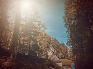  In Autumn.Fantasy fable in Park with Sunrise scene.