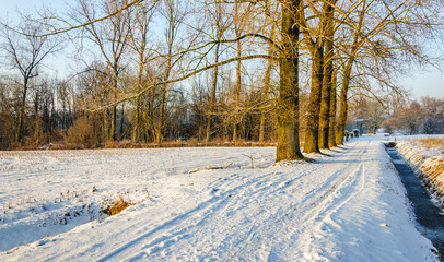 Path in a wintry rural landscape
