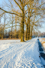Path in a wintry rural landscape