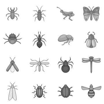 Insect icons set. Gray monochrome illustration of 16 insect vector icons for web