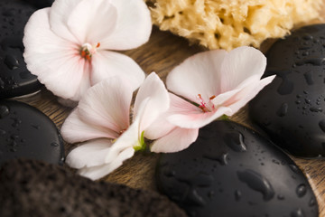 Fototapeta na wymiar Spa still life, with pink flowers, stones and water