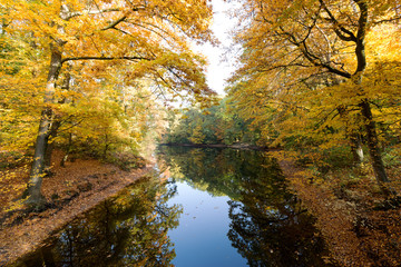Fototapeta na wymiar Autumn colored Trees reflected in Creek at Krefeld