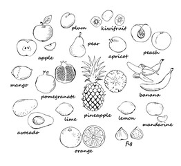 Set of black outline doodle fruit isolated on white background. Vector illustration