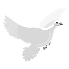 White pigeon icon. Gray monochrome illustration of white pigeon vector icon for web