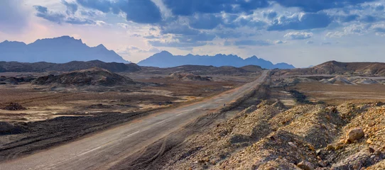   road through the desert to the horizon © Tortuga