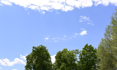 Deep blue sky with cloud