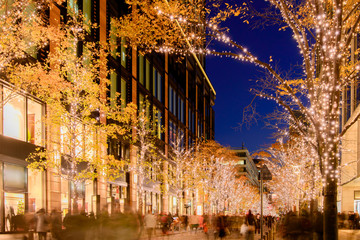 Fototapeta premium Zimowe oświetlenie w Tokio niedaleko Marunouchi