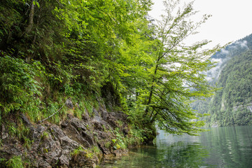 Fototapeta na wymiar Gesicherte Kletterpassage, wilder Wanderpfad entlang am Ostufer; Königssee, Sommer