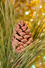 close-up christmas tree with pinecone on golden background, copyspace